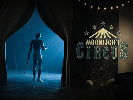 The Moonlight Circus